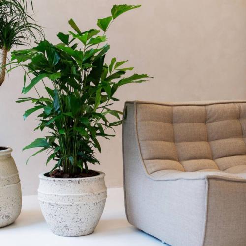 مجموعة أحواض بيضاء بلون الطباشير من الألياف