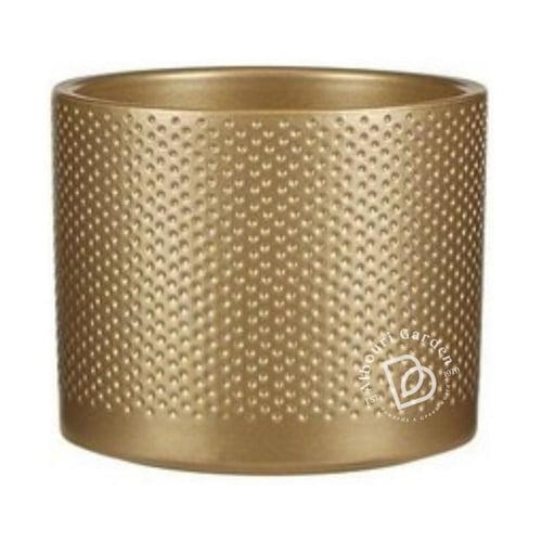 أصيص إيرا دائري