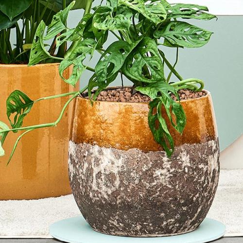 حوض دائري من السيراميك بلونين (4 أحجام: لونان)