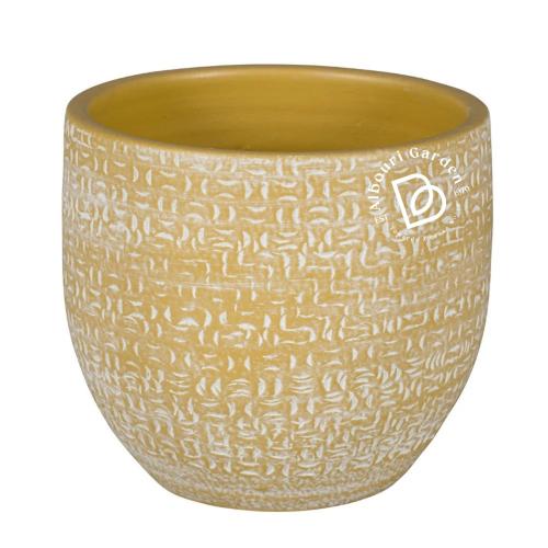 أمارانتي أحواض