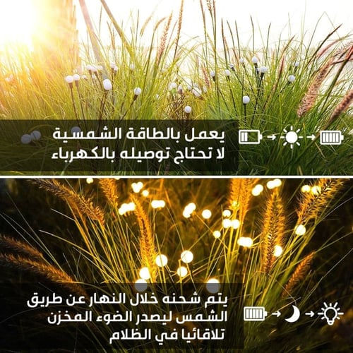 مصابيح الزينة بالطاقة الشمسية