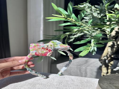 اكسسوار شعر