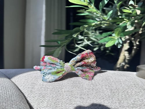 اكسسوار شعر