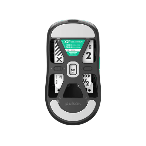 [Demon Slayer] X2V2 Tanjiro