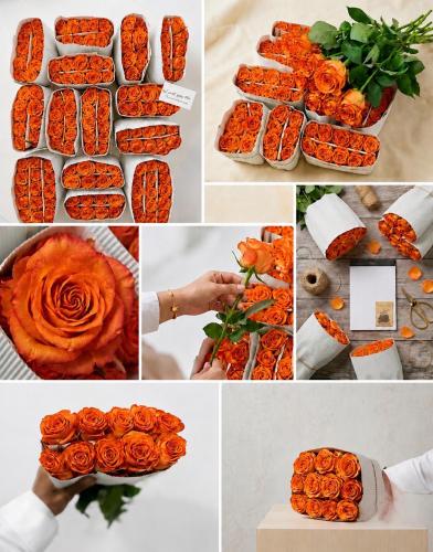 ربطة ورد جوري اورنج ROSE ORANGE