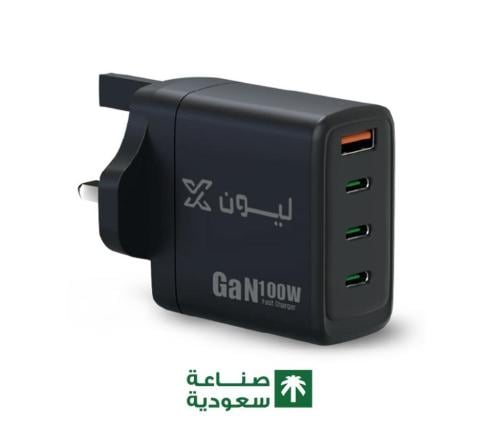 Lion wall charger 20 watt