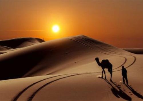 كتابة قصيده من عشر ابيات شعريه