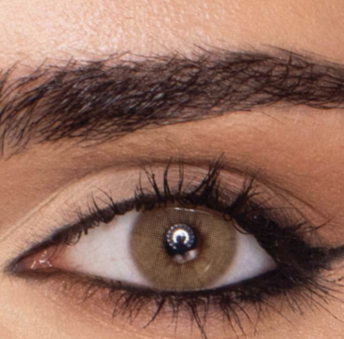 تينكر بيل عدسات يومية - الموند