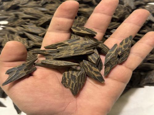 عود التايقر الملكي كسر كبيره