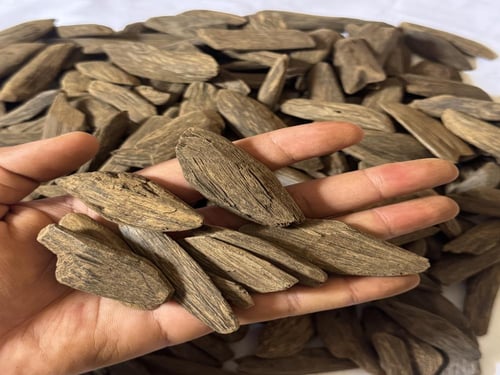 موروكي ملكي سبيشل