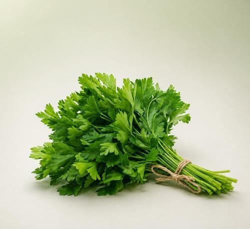بقدونس طازج
