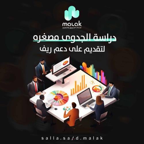 دراسة جدوى مصغره لتقديم على دعم ريف