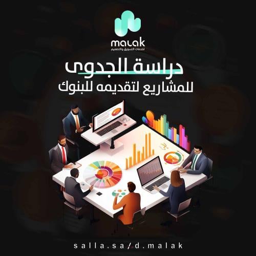 إعداد دراسة جدوى احترافية وشاملة لتلبية متطلبات ال...