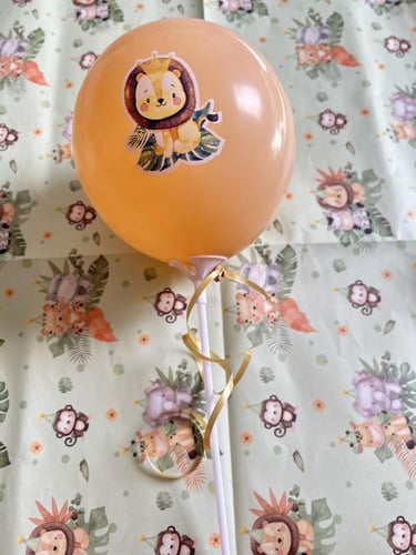 بوكس شتوي من نكست