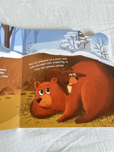 بوكس سلطان شتوي