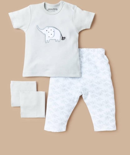 بوكس الفيل الصغير