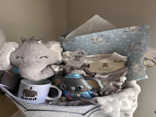 بوكس الفيل النائم