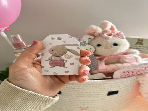 بوكس الأرنوب الجميل