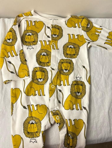 بوكس سلطان بثيم الأسد