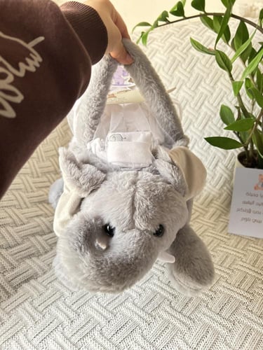 بوكس الفيل الصغير