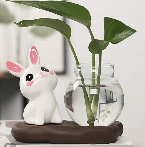 شكل ارنوب لأضافة مبلغ مالي