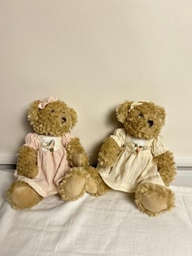 الدب اللطيف