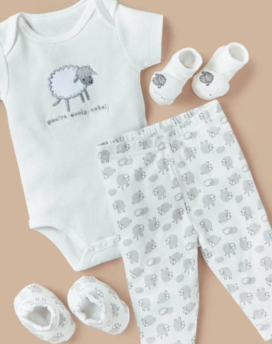 بوكس بثيم الخروف