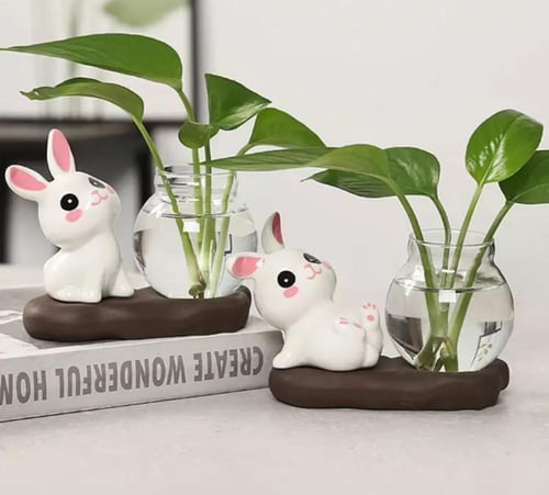 شكل ارنوب لأضافة مبلغ مالي