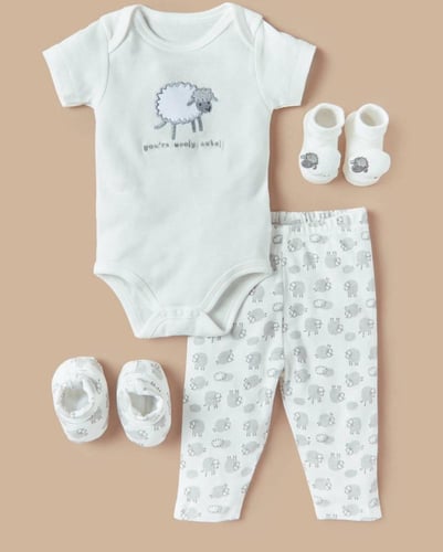 بوكس بثيم الخروف