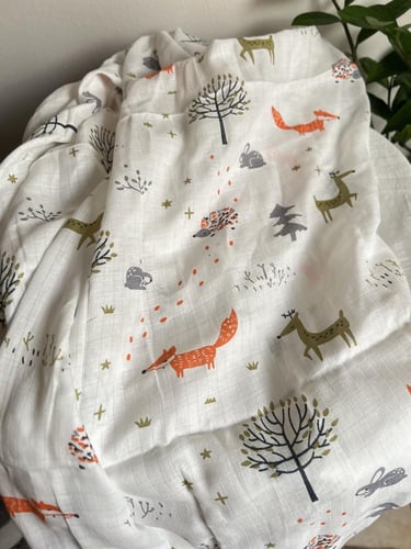 بوكس بثيم الثعلب