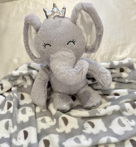 بوكس الفيل السعيد