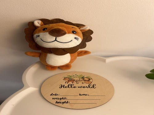 بوكس الأسد الجميل