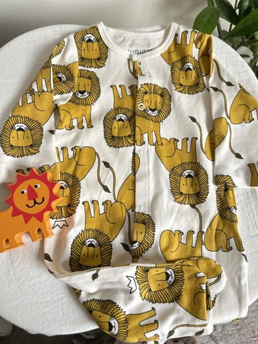 بوكس الأسد وحمار الوحش الأنيق