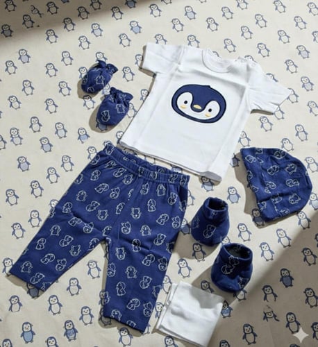 بوكس الدبدوب