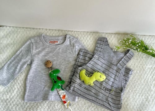 بوكس الديناصور المحبوب