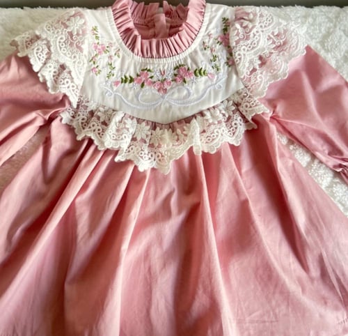 بوكس الأرنوب الجميل