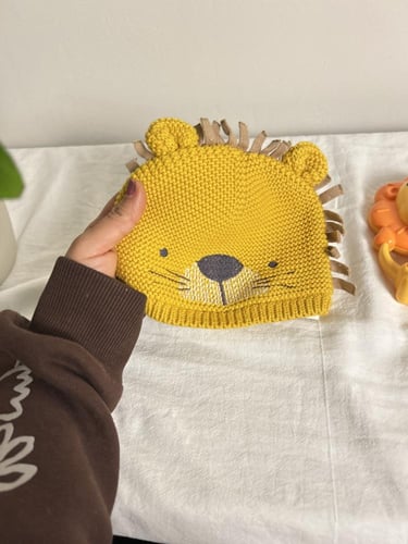 بوكس الأسد المحبوب