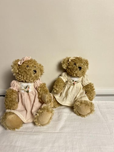 الدب اللطيف