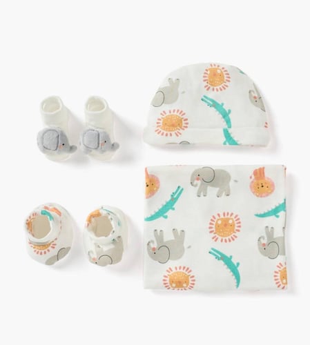 بوكس الفيل الصغير