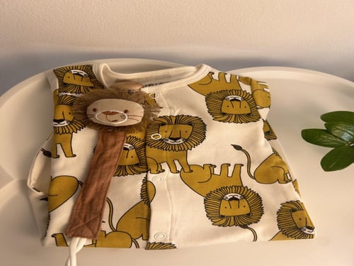 بوكس الأسد الجميل