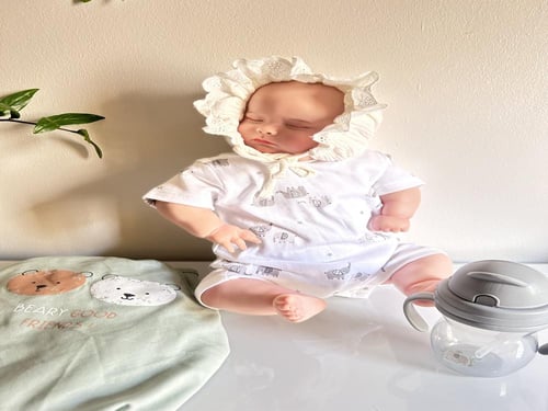 بوكس الدبدوب النائم