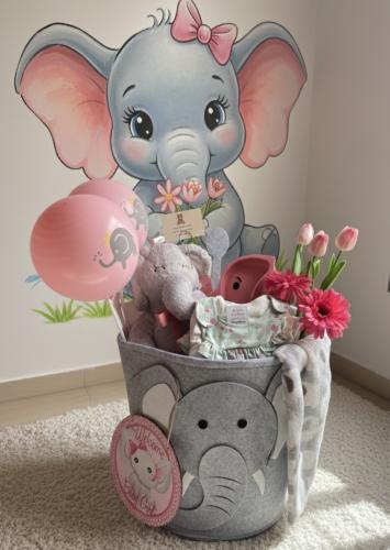 بوكس الفيل من مذركير لمولودة