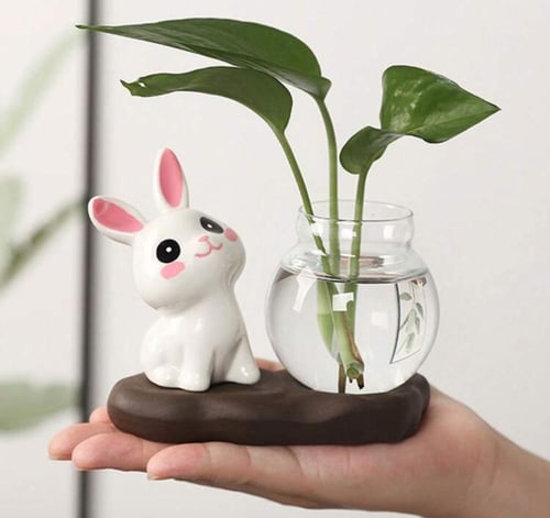 شكل ارنوب لأضافة مبلغ مالي