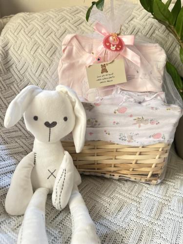 بوكس الأرنب