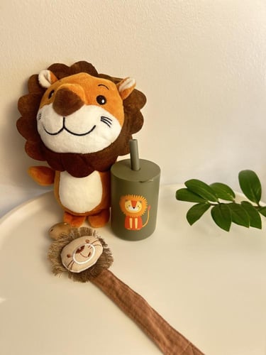 بوكس الأسد الجميل