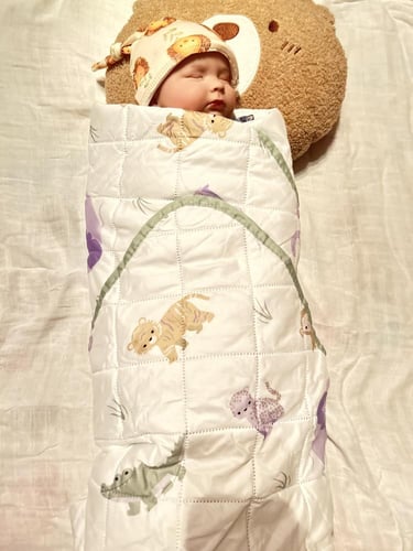 بطانية أنيقة ولوحة جدارية