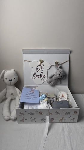 بوكس بثبم الفيل