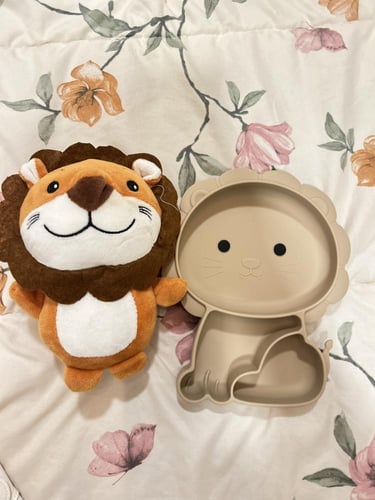 بوكس الأسد الجميل