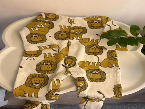 بوكس الأسد الجميل