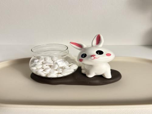 شكل ارنوب لأضافة مبلغ مالي